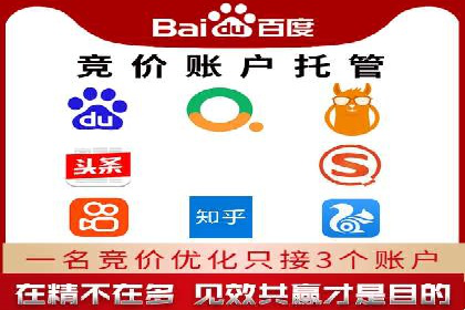 探索sem代运营公司成功案例的共同点